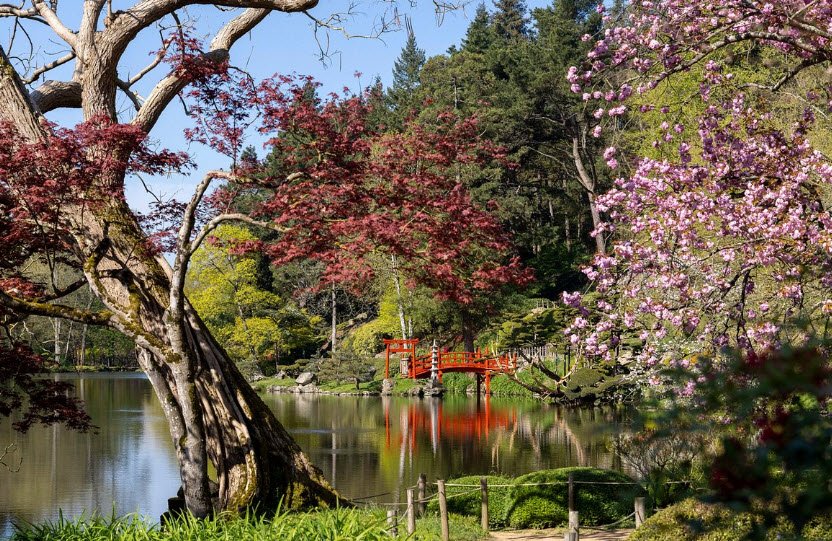 Parc Oriental de Maulévrier, Maulévrier, France, France